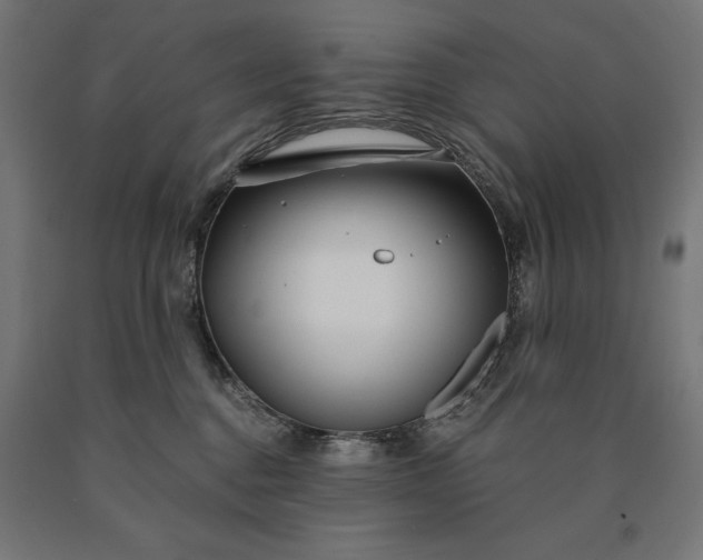 X0000090610376200707311227