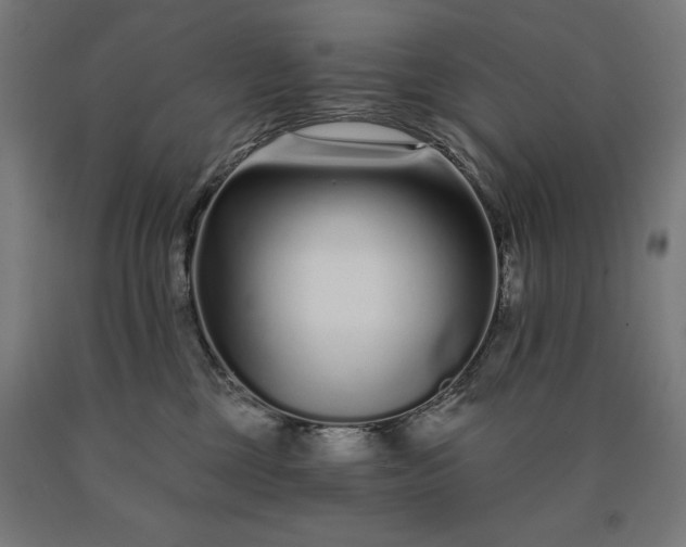 X0000090610377200707311227