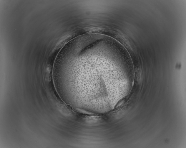 X0000090610378200707311227