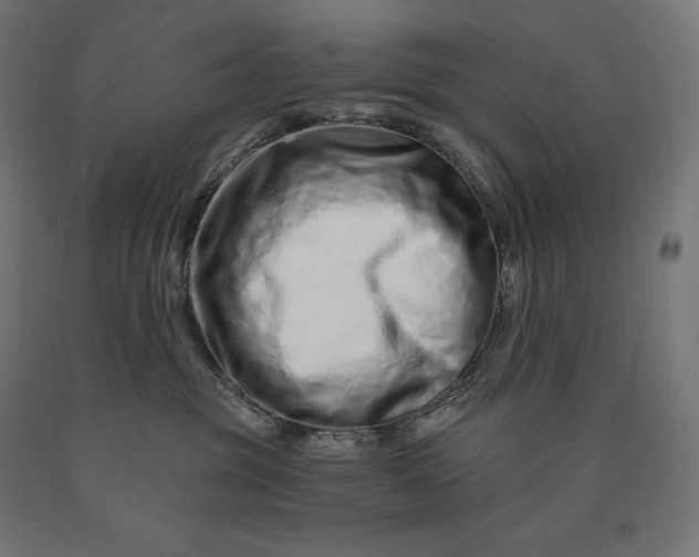 X0000090610381200707311227