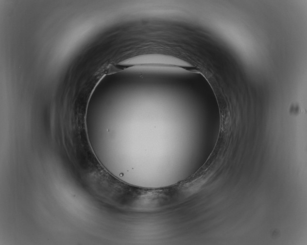 X0000090610382200707311227