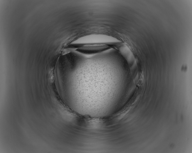 X0000090610383200707311227