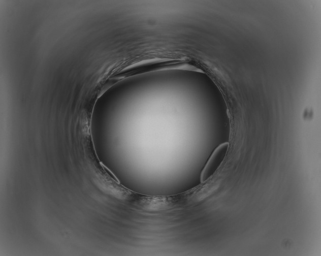 X0000090610384200707311227