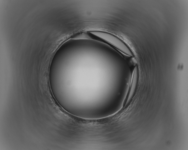 X0000090610385200707311226