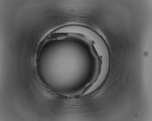 X0000090610387200707311226