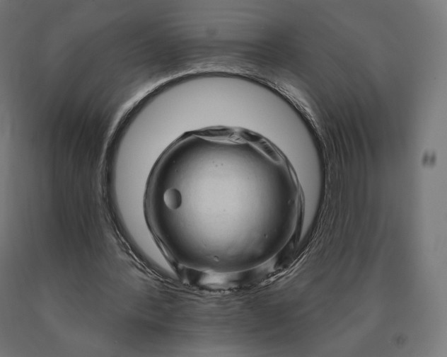 X0000090610388200707311226