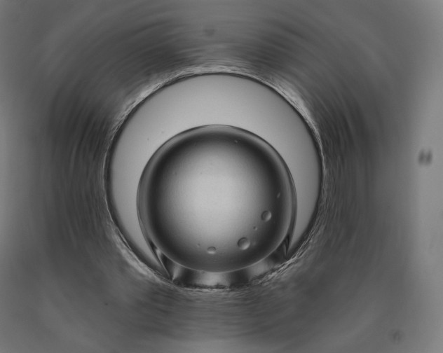 X0000090610389200707311226