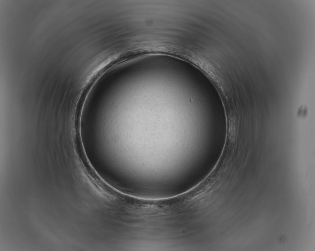 X0000090610390200707311226