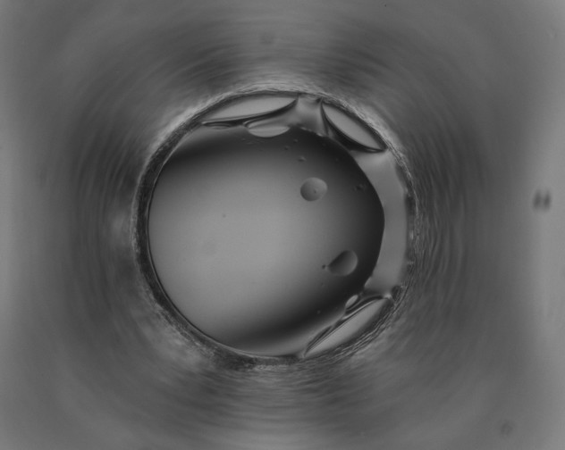 X0000090610391200707311226