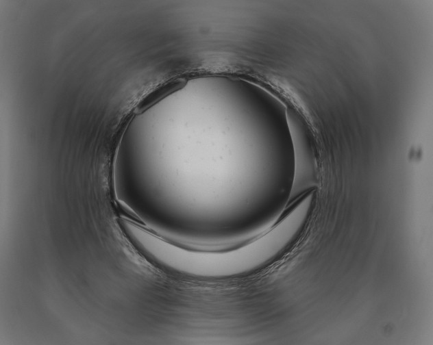 X0000090610393200707311226