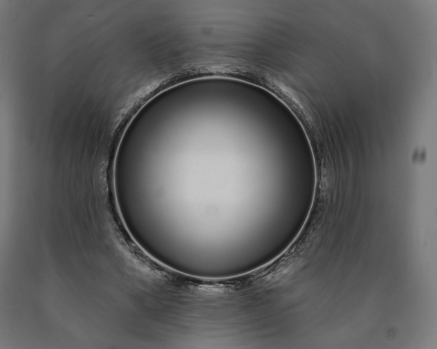 X0000090610394200707311226