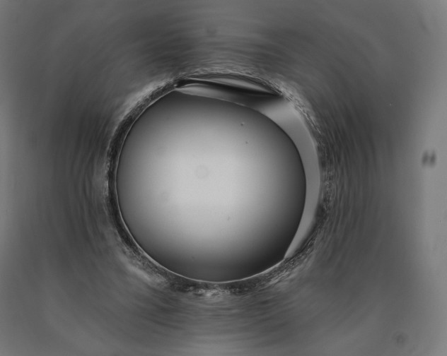 X0000090610395200707311226