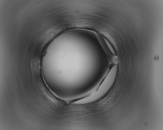 X0000090610397200707311226