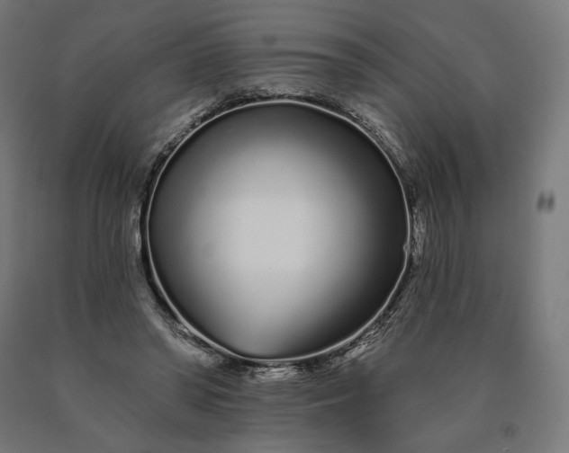 X0000090610398200707311226