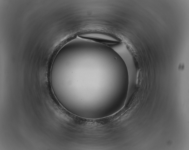 X0000090610399200707311226