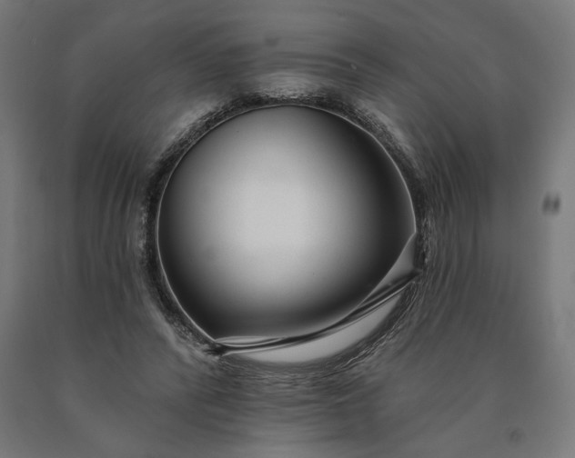 X0000090610400200707311226