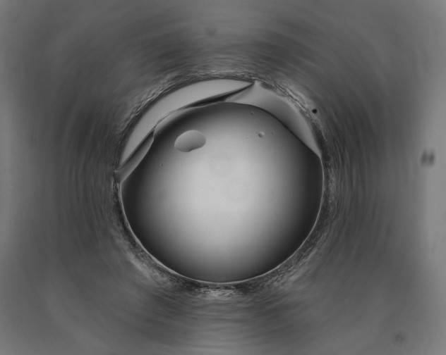 X0000090610401200707311226