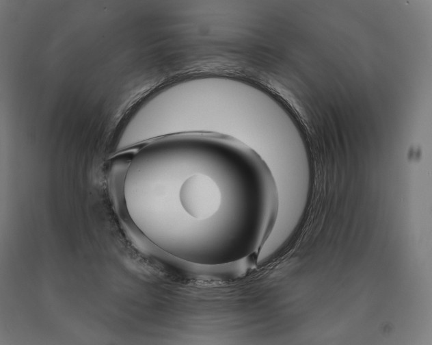 X0000090610403200707311226