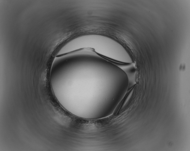 X0000090610404200707311226