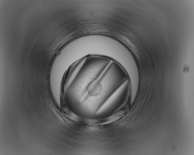 X0000090610405200707311226