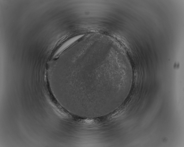 X0000090610406200707311226