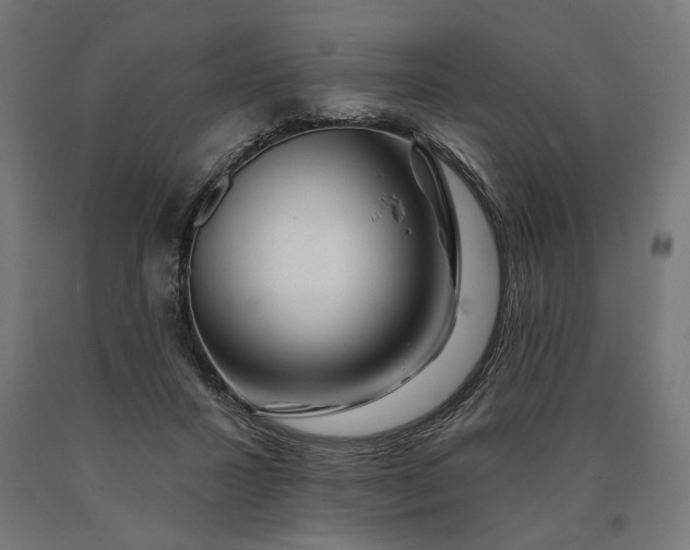 X0000090610407200707311226