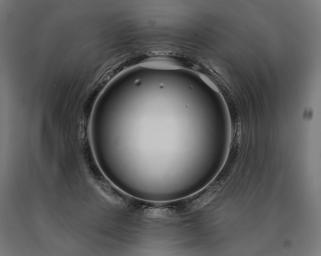 X0000090610408200707311226