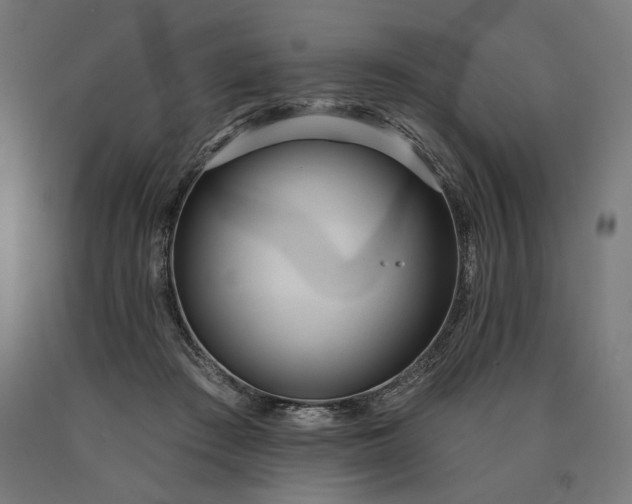 X0000090610409200707311226