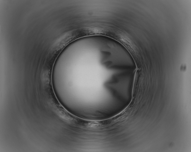 X0000090610410200707311226