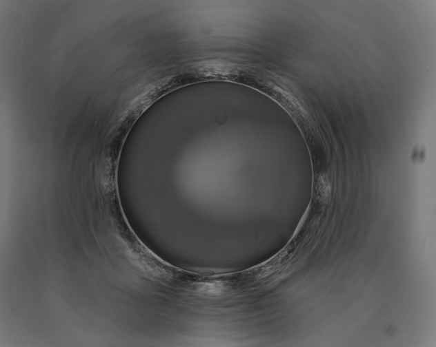 X0000090610411200707311226