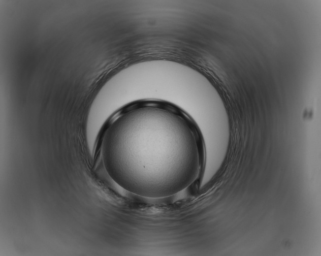 X0000090610412200707311226