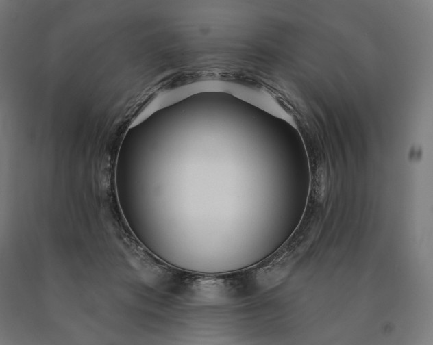 X0000090610413200707311226