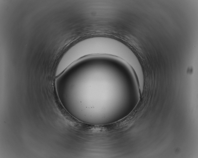 X0000090610415200707311226