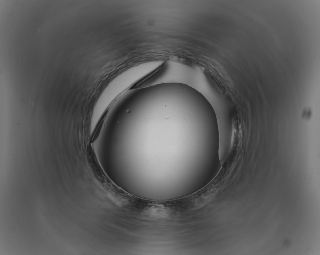 X0000090610416200707311226