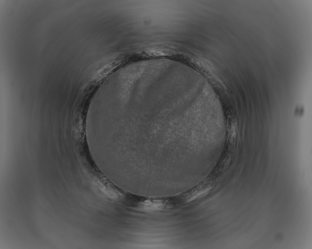 X0000090610418200707311226