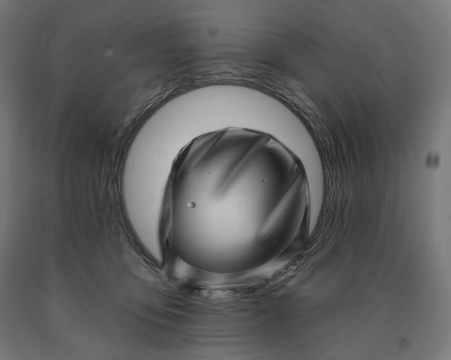 X0000090610419200707311226