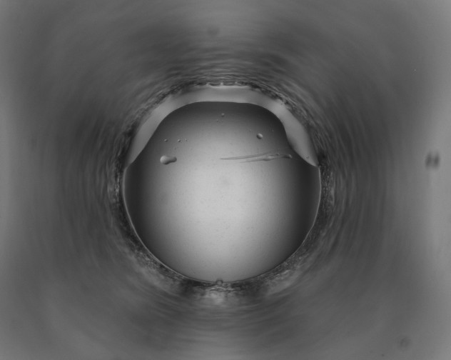 X0000090610420200707311226