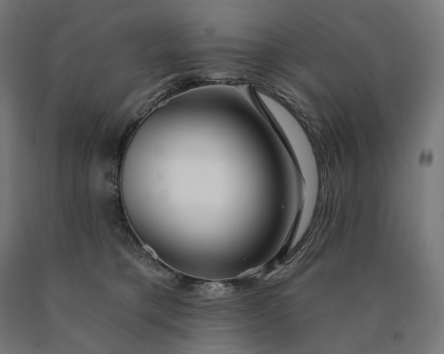 X0000090610421200707311226