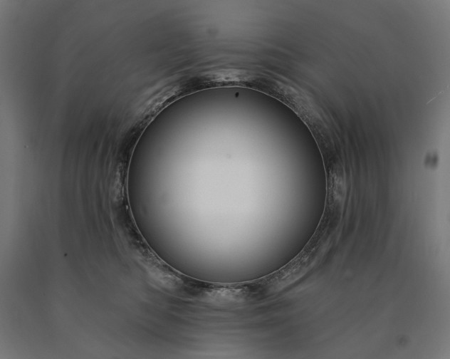 X0000090610422200707311226