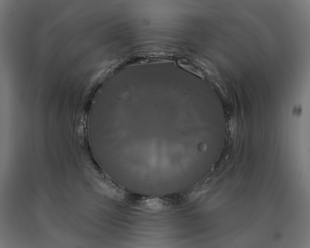 X0000090610423200707311226