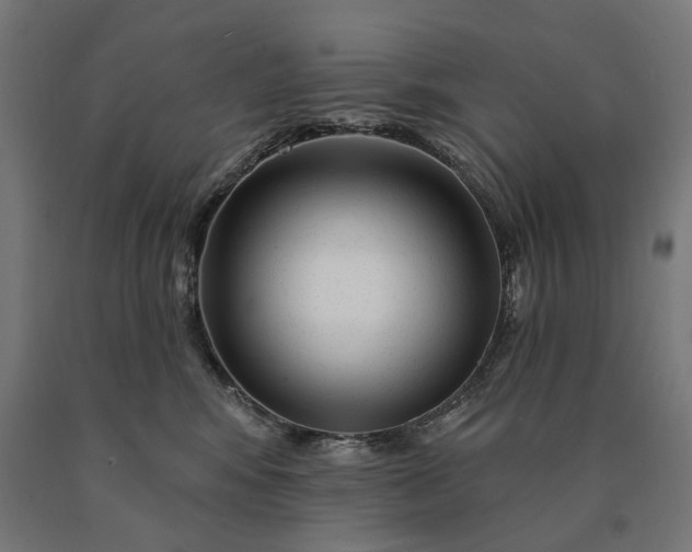 X0000090610424200707311226