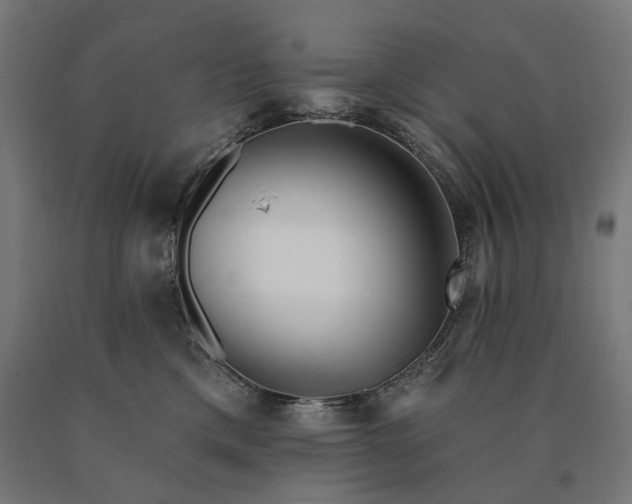 X0000090610425200707311226