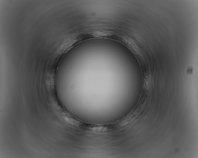 X0000090610426200707311226