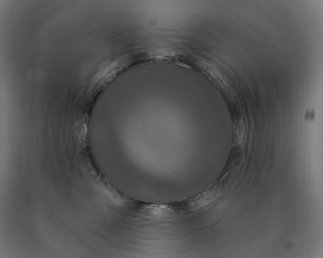 X0000090610427200707311226