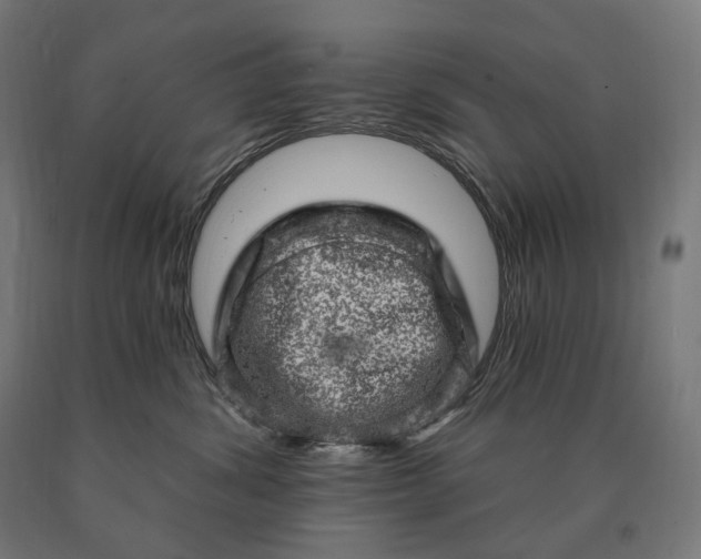 X0000090610428200707311226