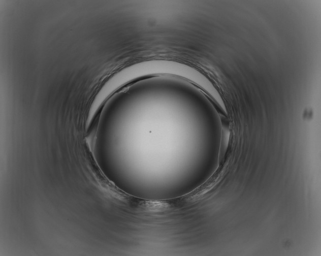 X0000090610429200707311226