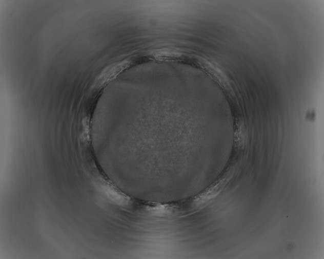 X0000090610430200707311226