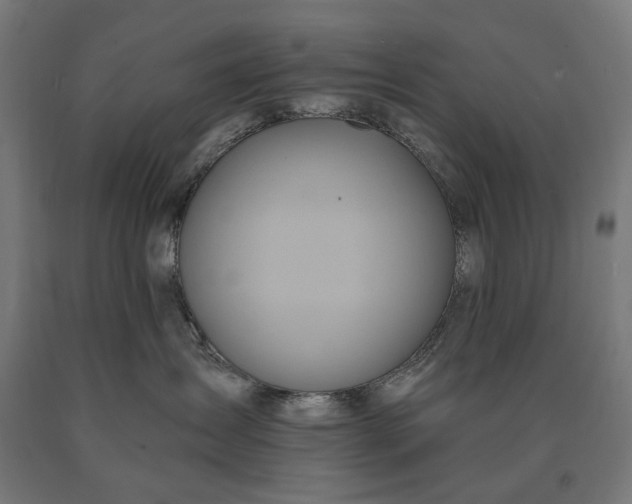 X0000090610431200707311226