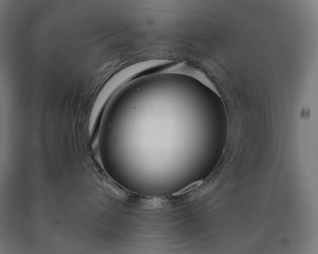 X0000090610432200707311226