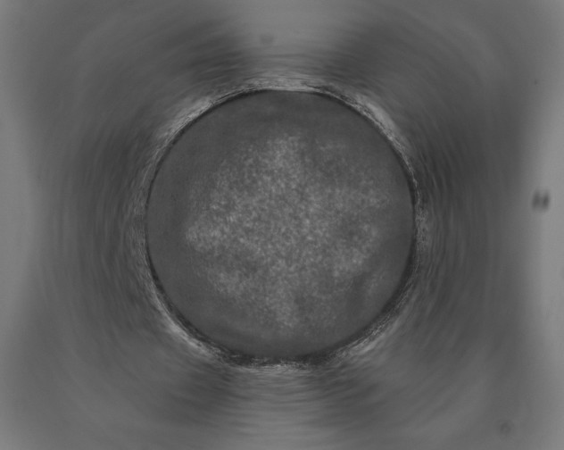 X0000090610433200707311225